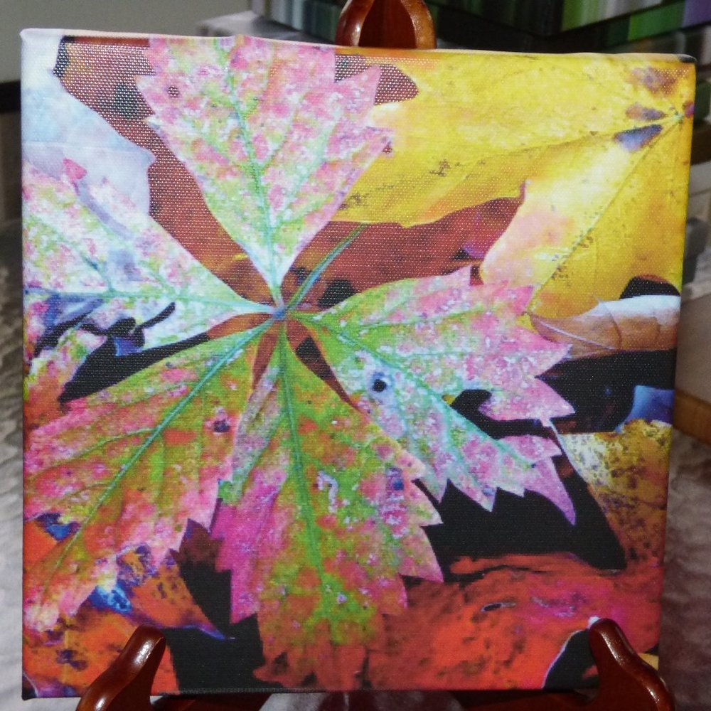 8 x8 canvas of fall leaves